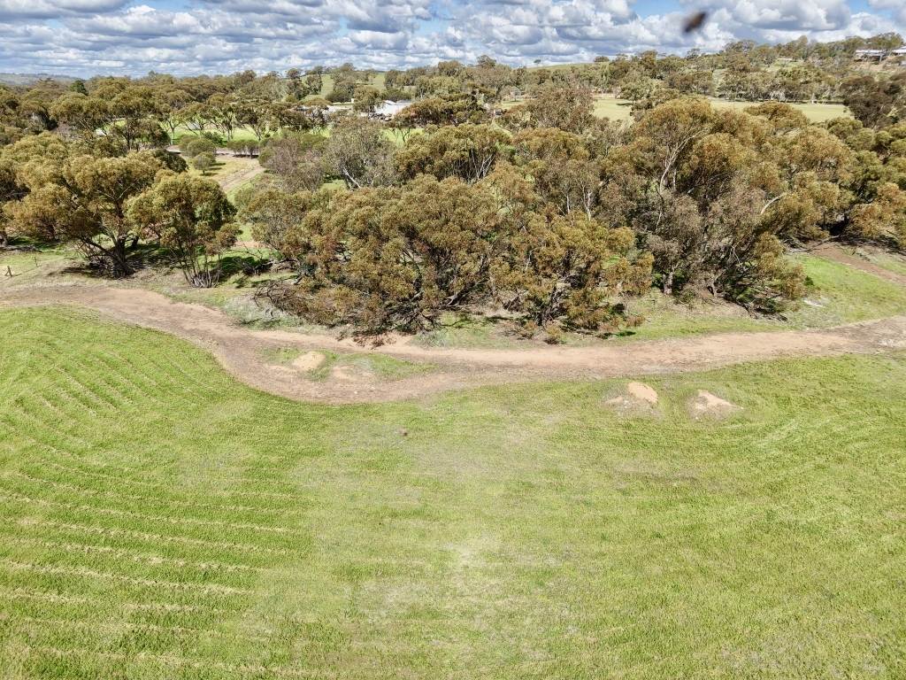 Lot 803 Trews Road, Daliak For Sale by Farmbuy.com - image 9