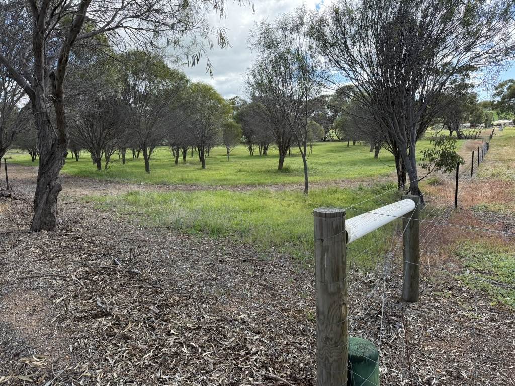 Lot 803 Trews Road, Daliak For Sale by Farmbuy.com - image 12
