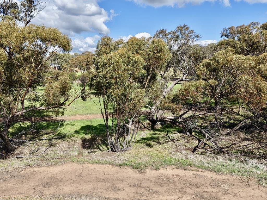 Lot 803 Trews Road, Daliak For Sale by Farmbuy.com - image 13