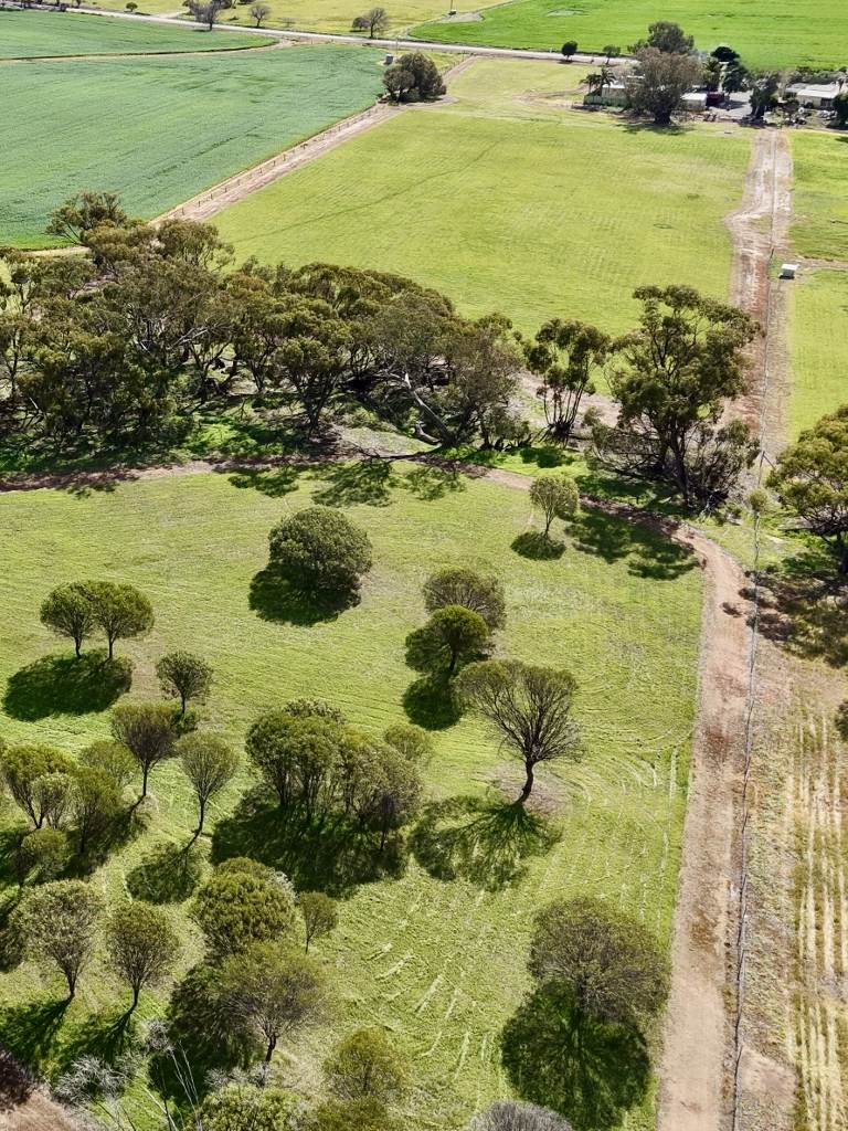 Lot 803 Trews Road, Daliak For Sale by Farmbuy.com - image 19