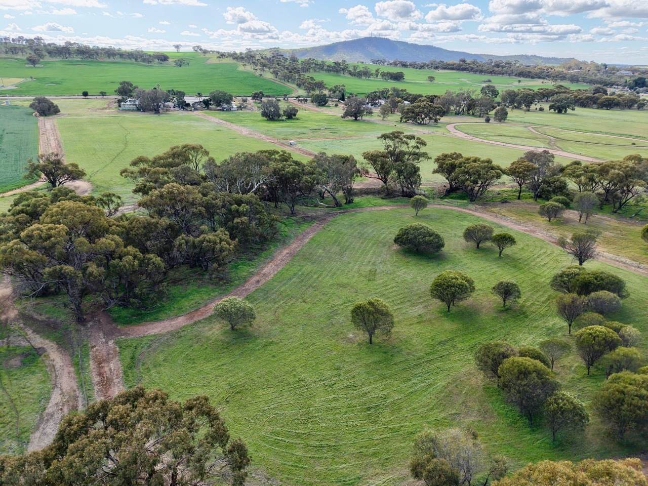 Lot 803 Trews Road, Daliak For Sale by Farmbuy.com - image 23