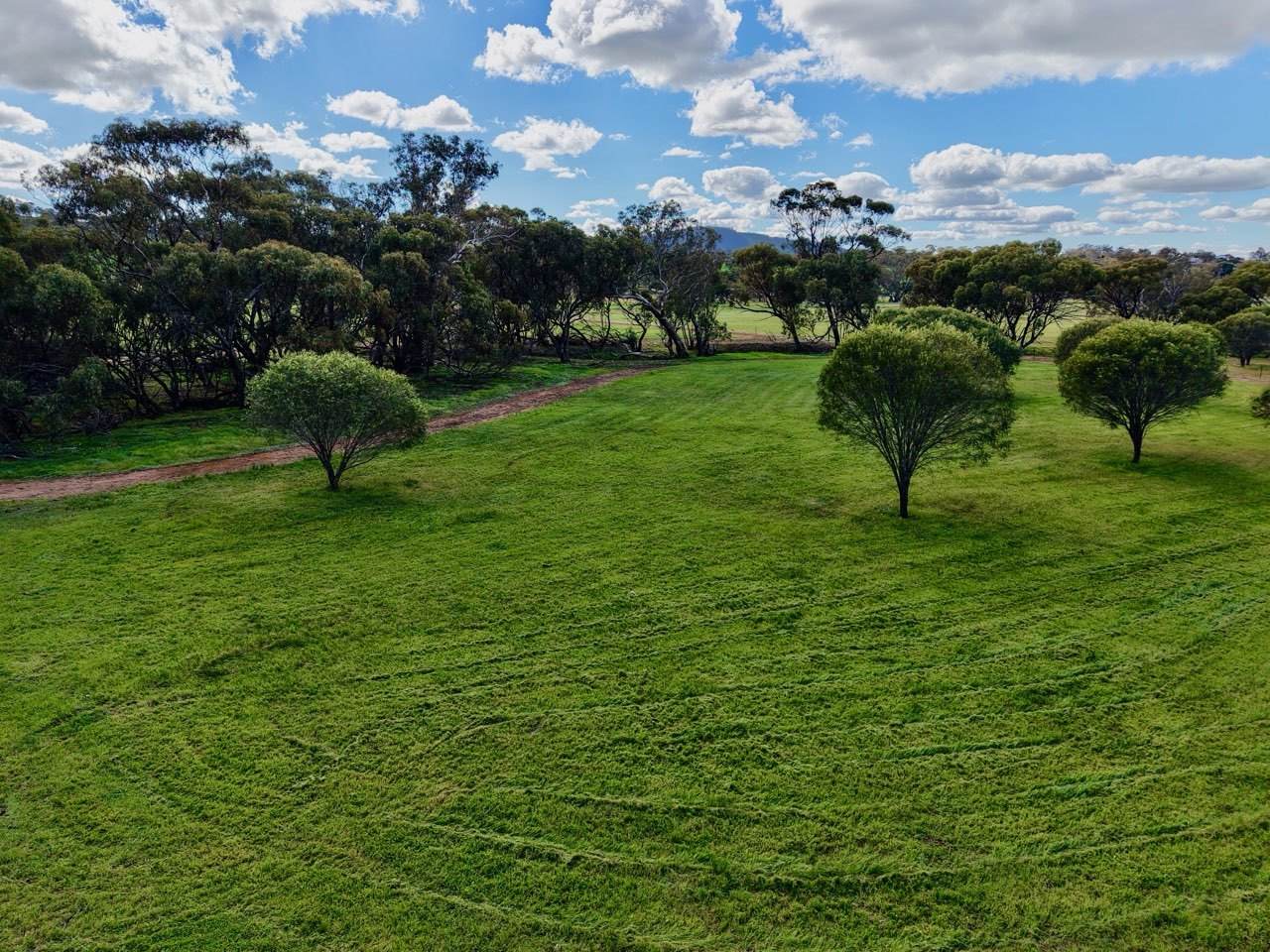 Lot 803 Trews Road, Daliak For Sale by Farmbuy.com - image 21