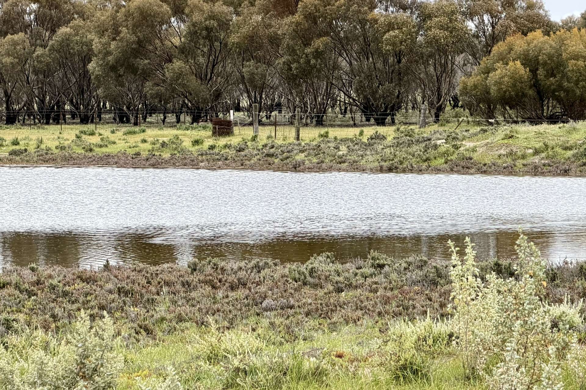 2431 Dowerin-Kalannie Road, Minnivale For Sale by Farmbuy.com - image 31