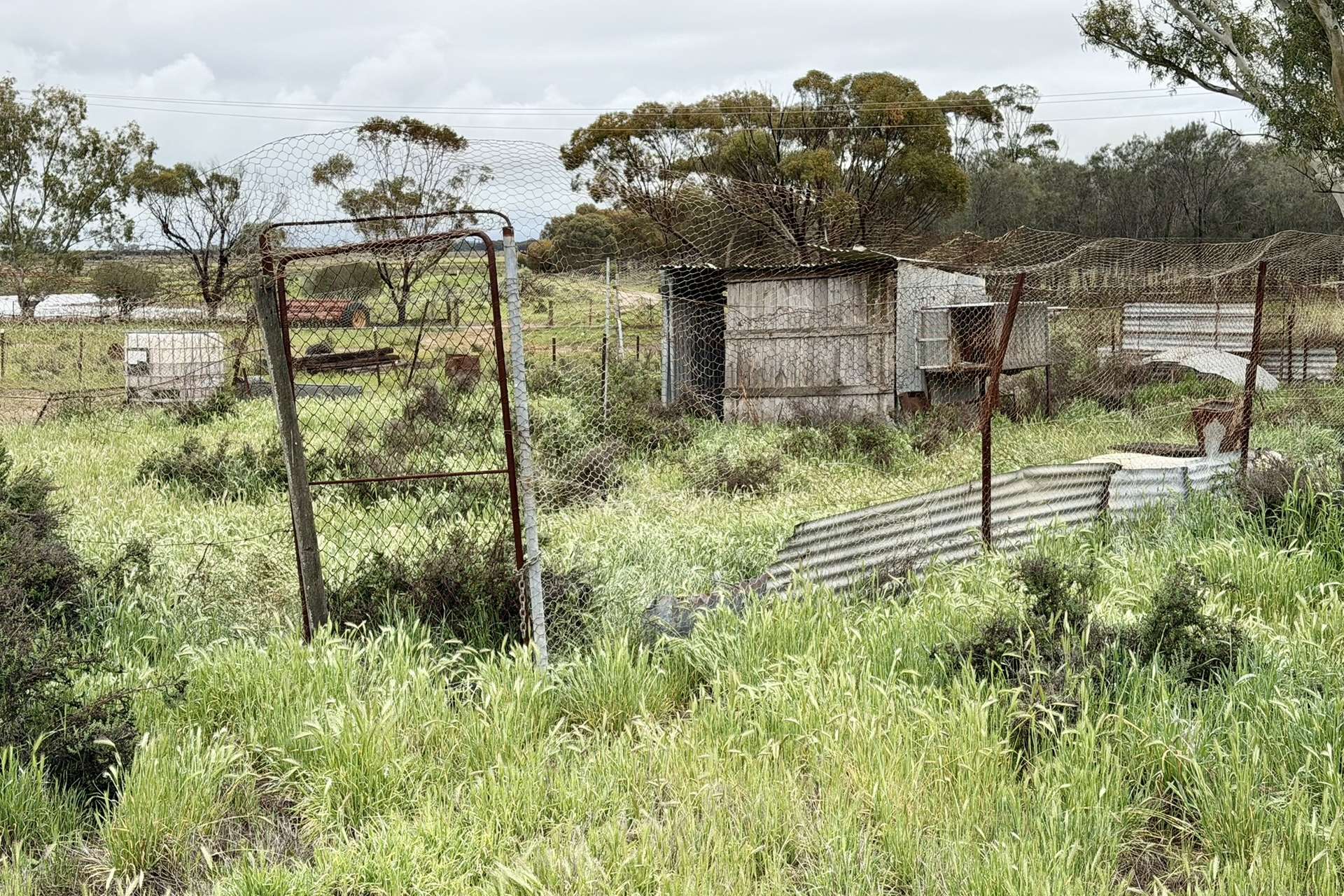 2431 Dowerin-Kalannie Road, Minnivale For Sale by Farmbuy.com - image 34