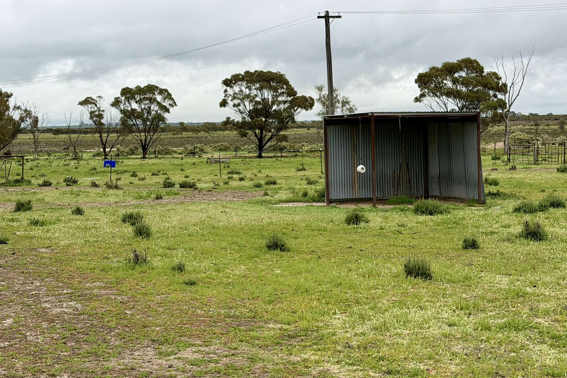 2431 Dowerin-Kalannie Road, Minnivale For Sale by Farmbuy.com - image 32