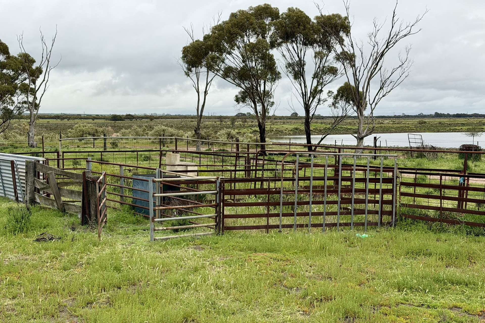2431 Dowerin-Kalannie Road, Minnivale For Sale by Farmbuy.com - image 30