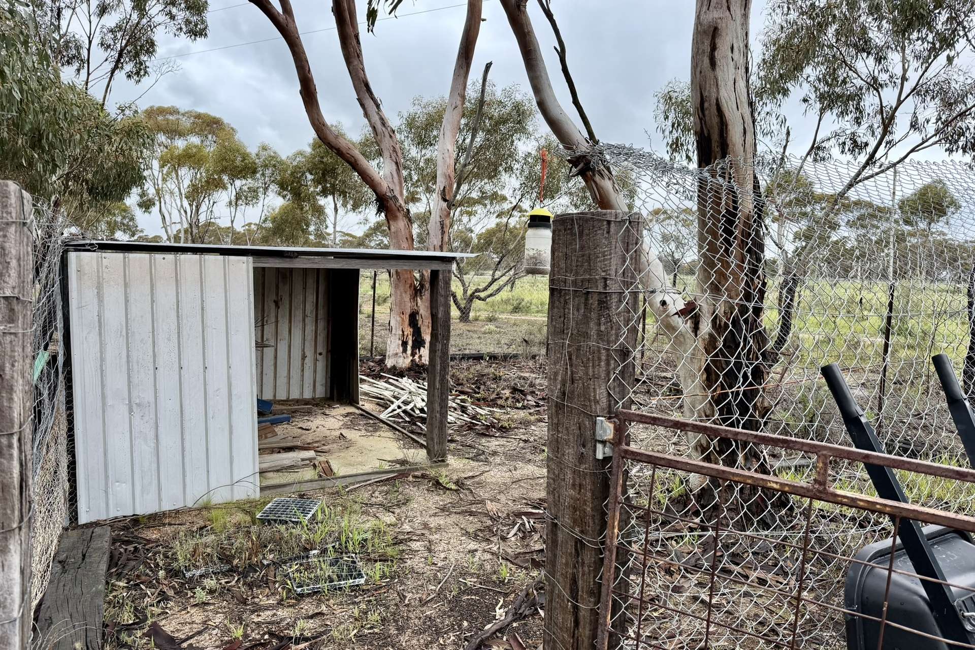 2431 Dowerin-Kalannie Road, Minnivale For Sale by Farmbuy.com - image 33