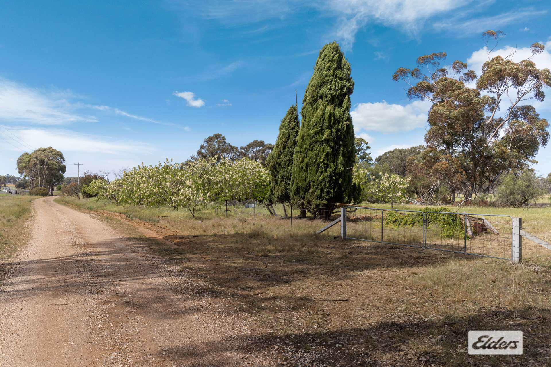 Lot 1,  Three Chain Road, Woodvale For Sale by Farmbuy.com - image 5