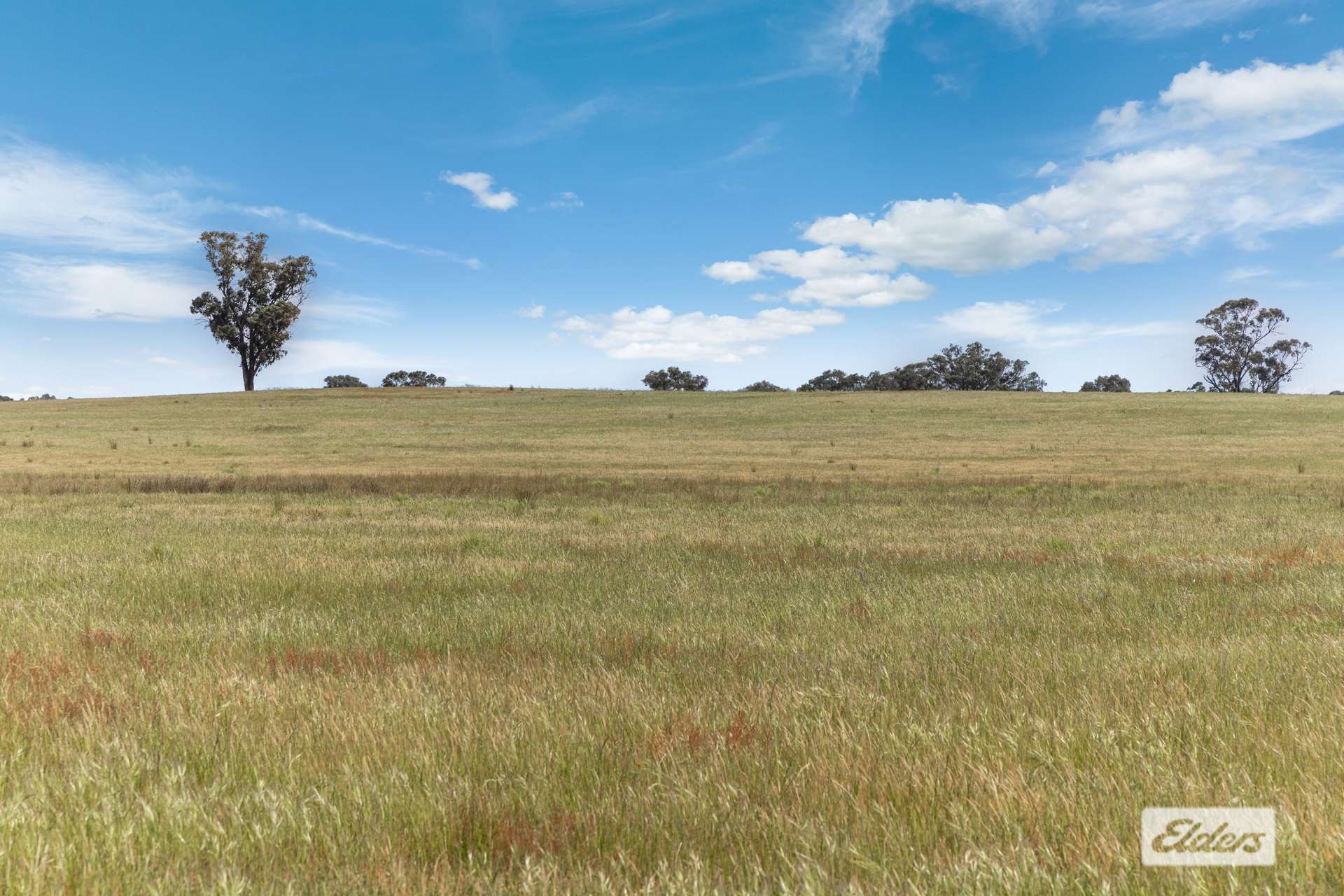 Lot 1,  Three Chain Road, Woodvale For Sale by Farmbuy.com - image 8