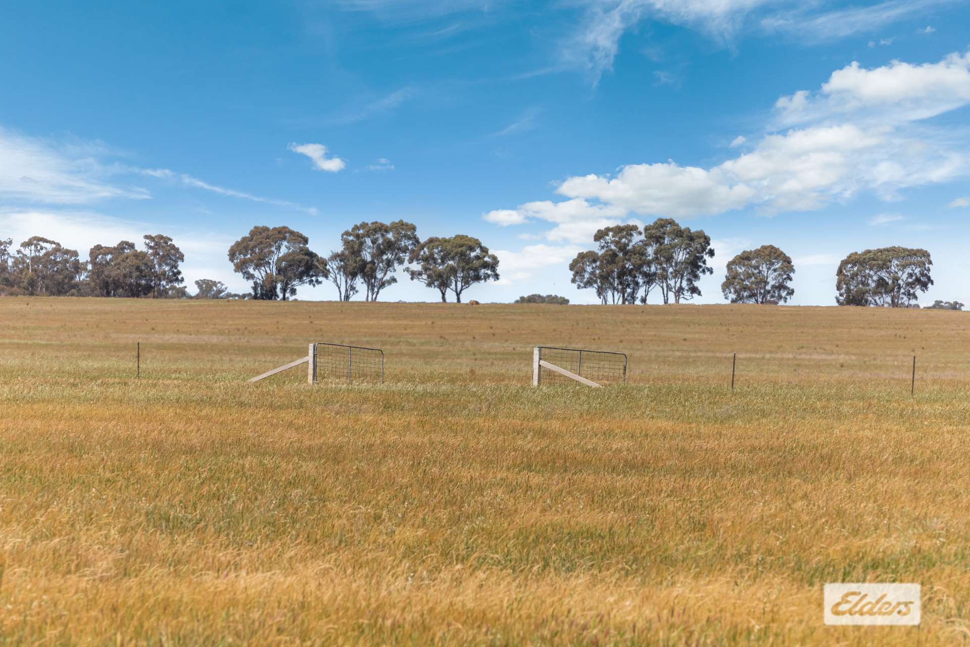 Lot 1,  Three Chain Road, Woodvale For Sale by Farmbuy.com - image 6