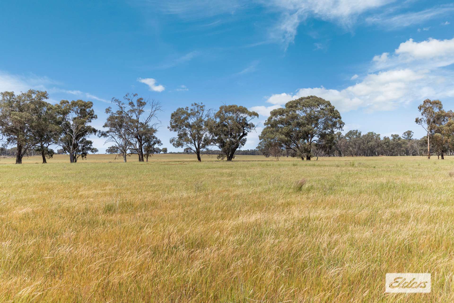 Lot 1,  Three Chain Road, Woodvale For Sale by Farmbuy.com - image 9