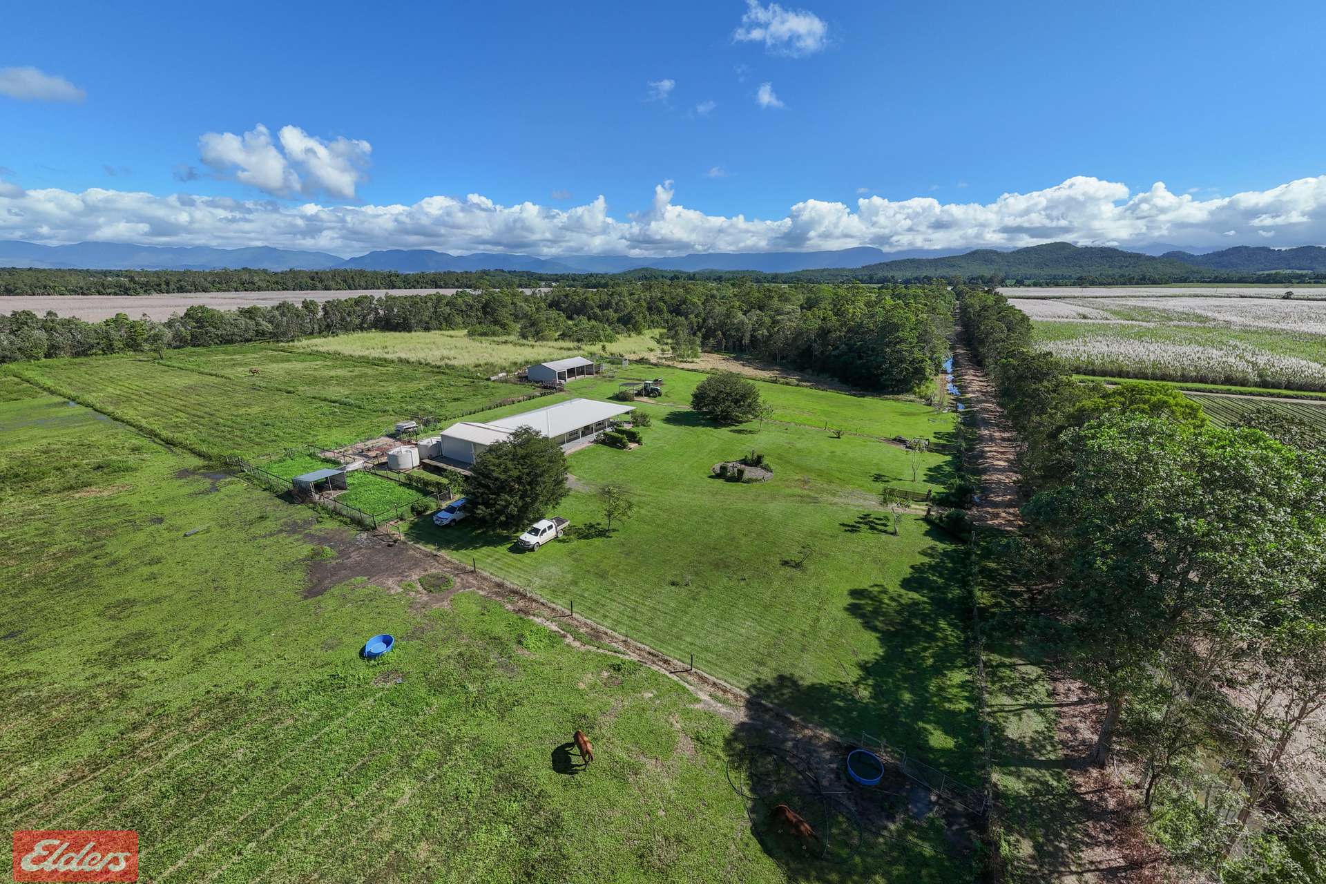 4 Scanlan Road, Tully For Sale by Farmbuy.com - image 7