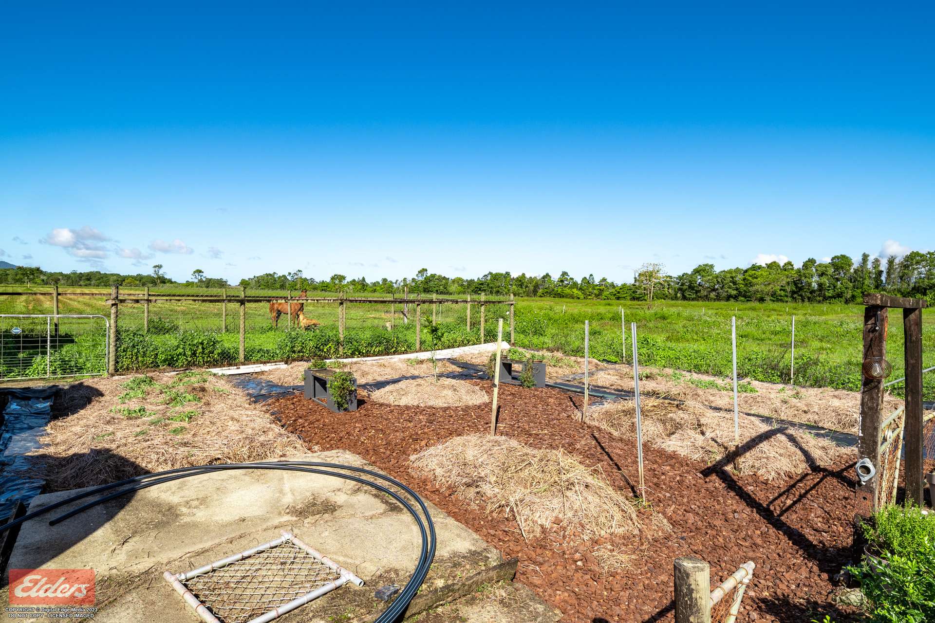 4 Scanlan Road, Tully For Sale by Farmbuy.com - image 33
