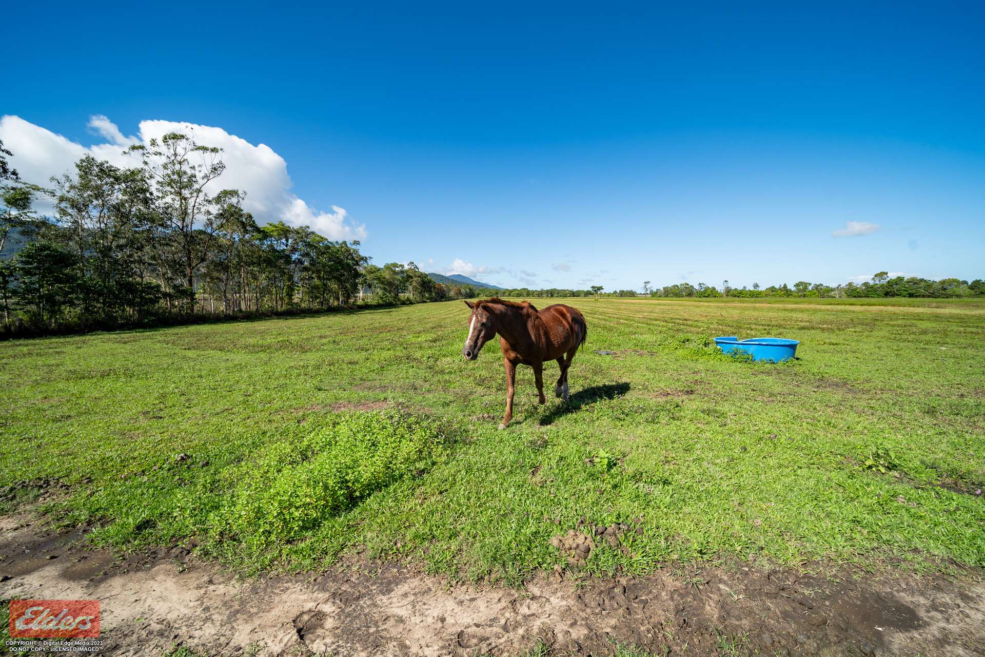 4 Scanlan Road, Tully For Sale by Farmbuy.com - image 28