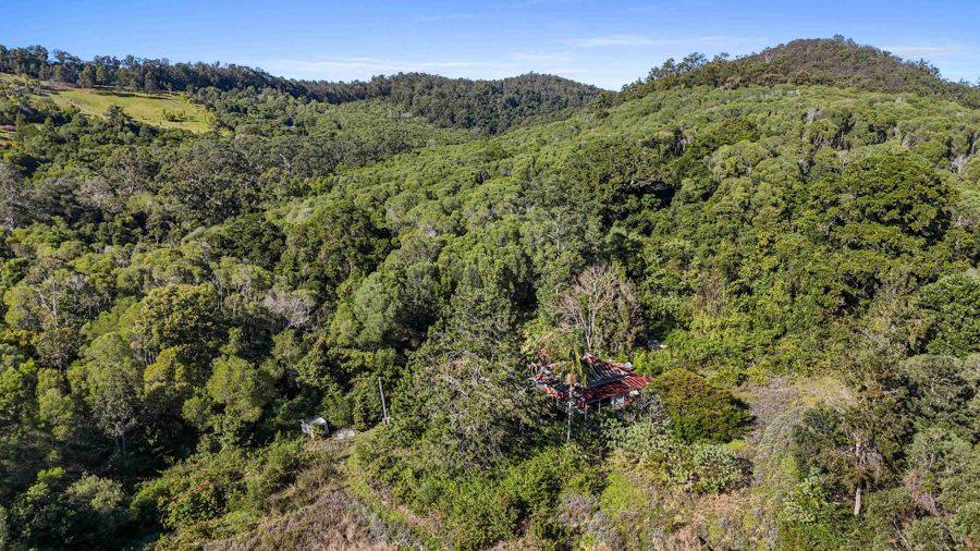 372 Wilsons Pocket Road, Wilsons Pocket For Sale by Farmbuy.com - image 9