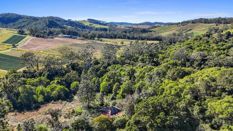 372 Wilsons Pocket Road, Wilsons Pocket For Sale by Farmbuy.com - image 8