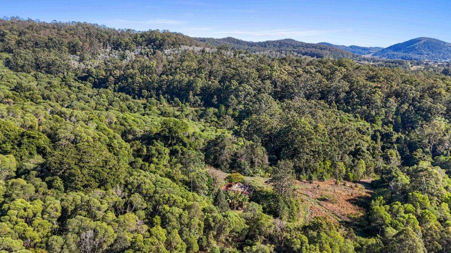 372 Wilsons Pocket Road, Wilsons Pocket For Sale by Farmbuy.com - image 10