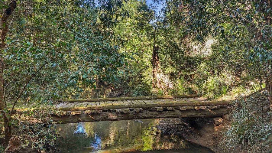 372 Wilsons Pocket Road, Wilsons Pocket For Sale by Farmbuy.com - image 12