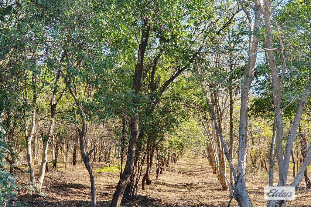 254 Oolrui Road, Kununurra WA 6743