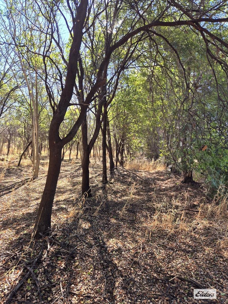 254 Oolrui Road, Kununurra For Sale by Farmbuy.com - image 6