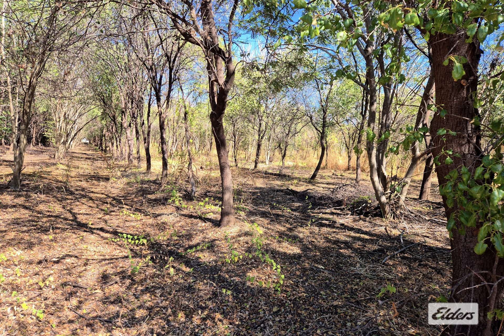 254 Oolrui Road, Kununurra For Sale by Farmbuy.com - image 5