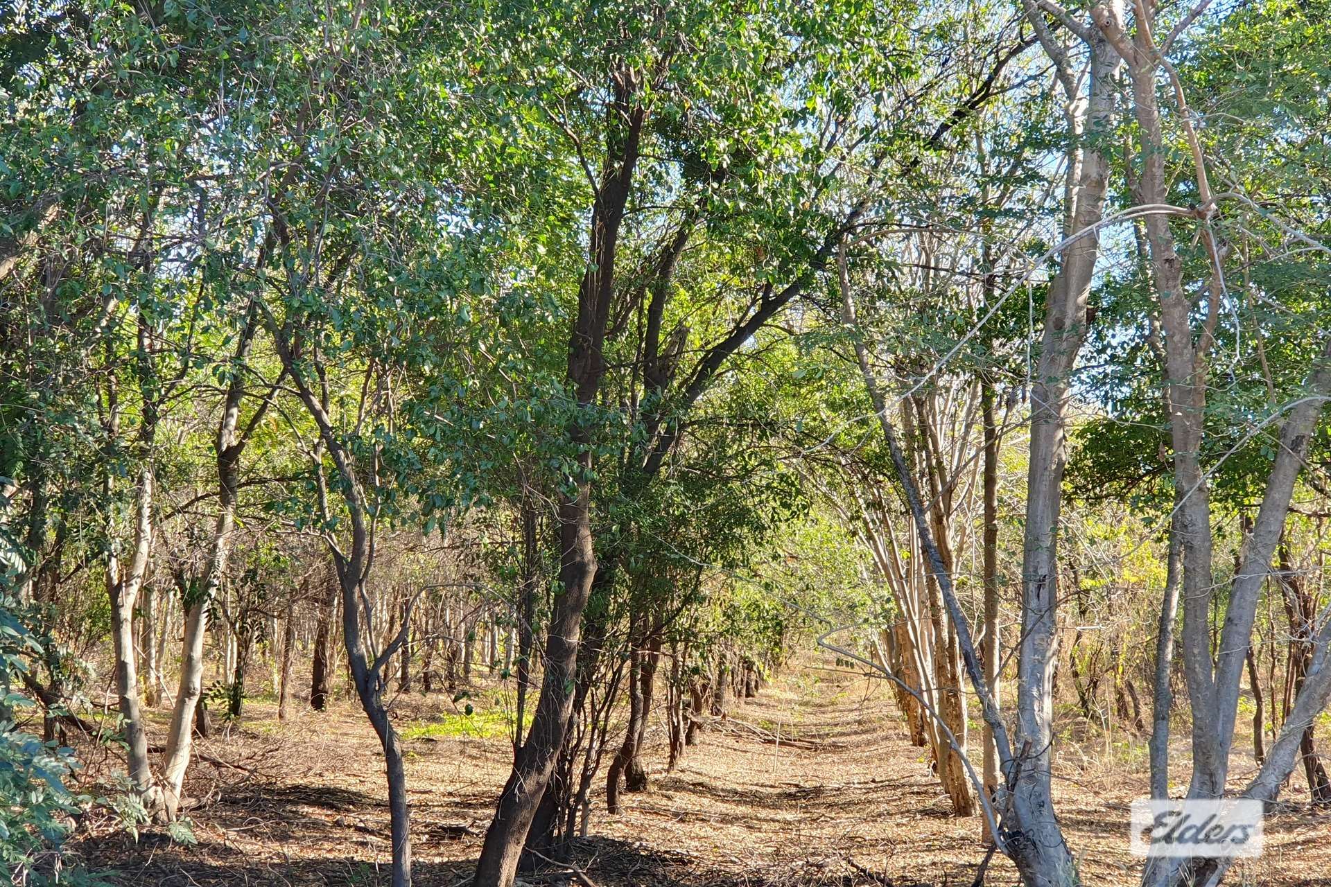 254 Oolrui Road, Kununurra For Sale by Farmbuy.com - image 1