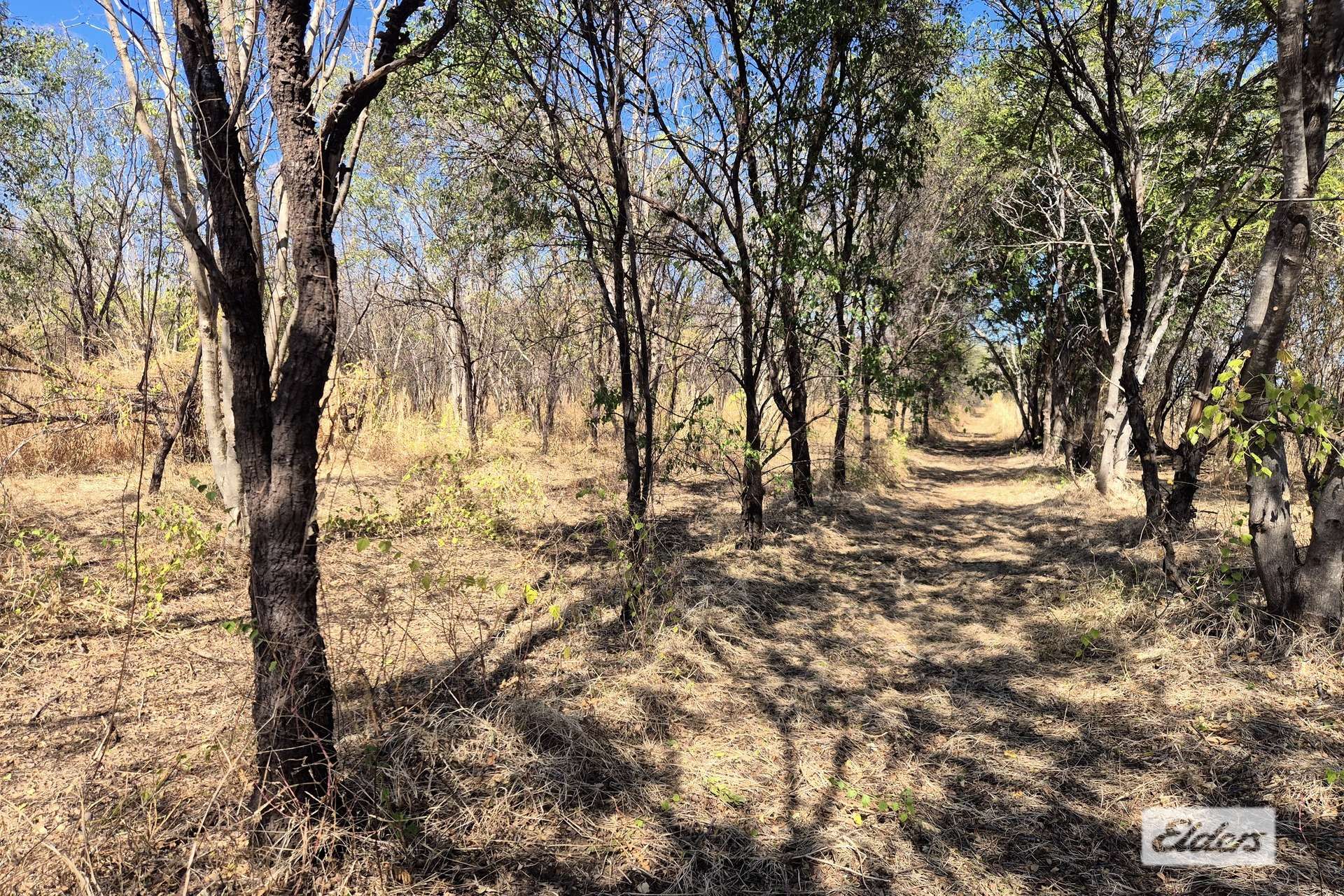 254 Oolrui Road, Kununurra For Sale by Farmbuy.com - image 7