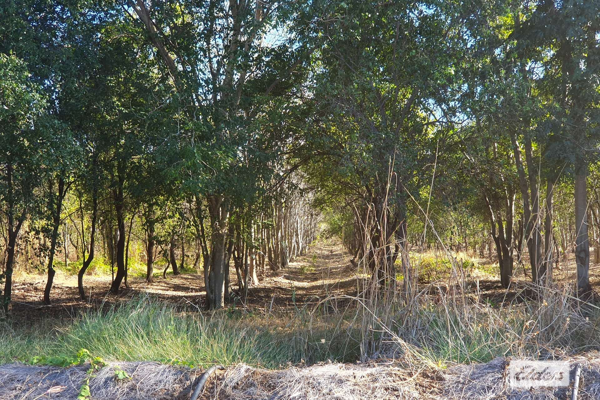 254 Oolrui Road, Kununurra For Sale by Farmbuy.com - image 2