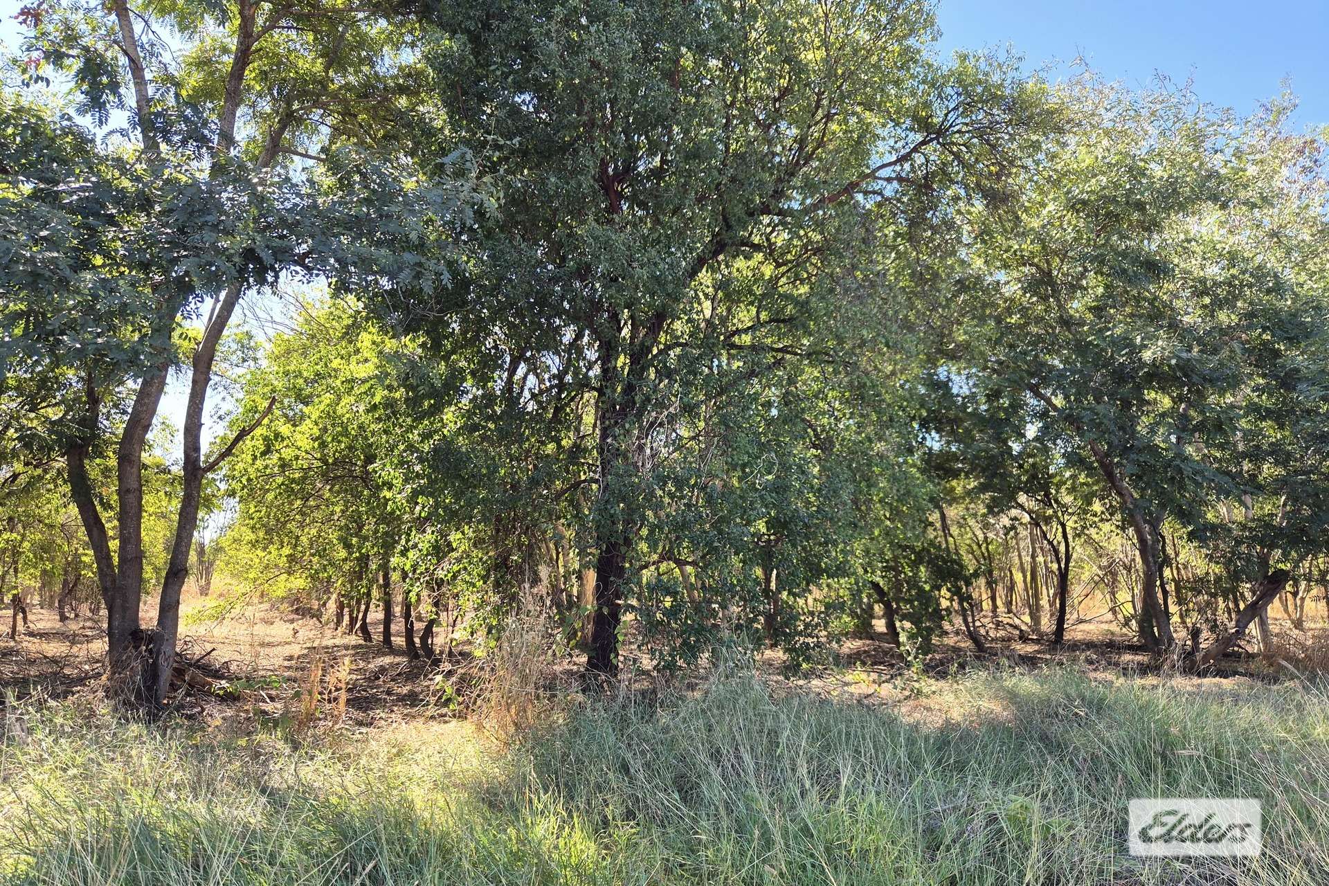 254 Oolrui Road, Kununurra For Sale by Farmbuy.com - image 4