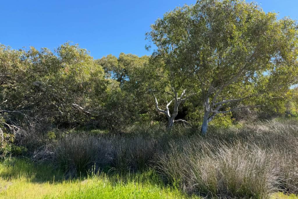 Lot 51 Northampton Port Gregory Road, Yallabatharra WA 6535
