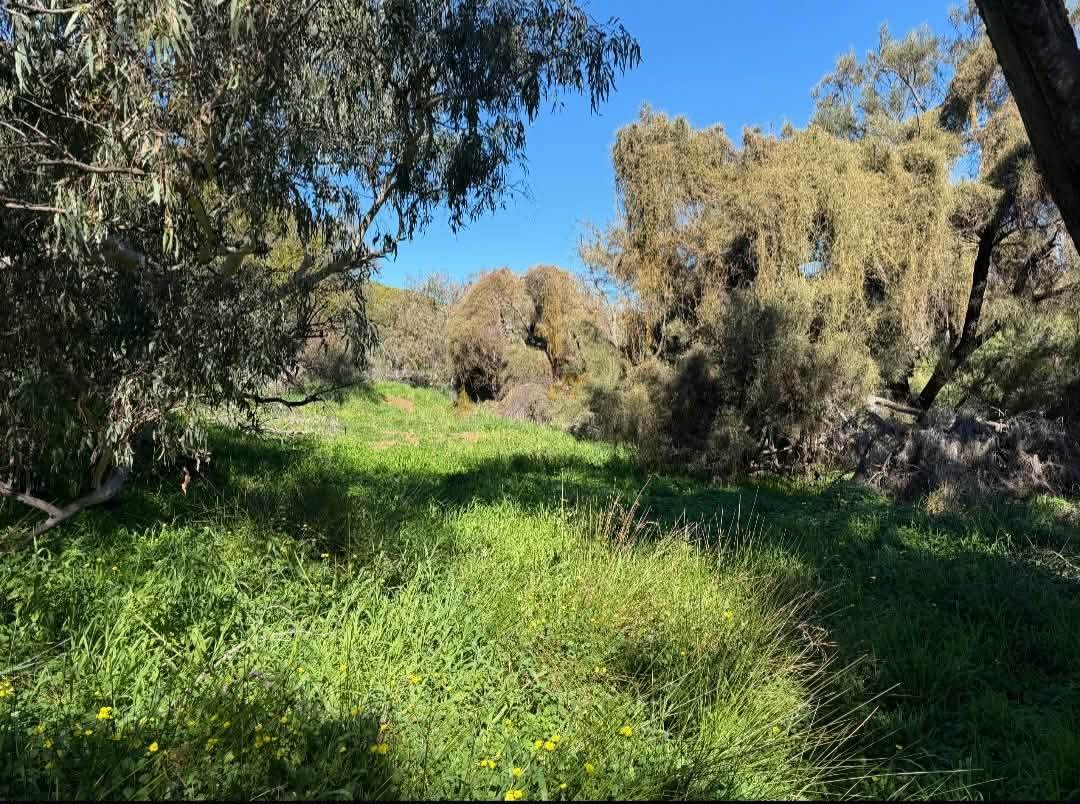 Lot 51 Northampton Port Gregory Road, Yallabatharra For Sale by Farmbuy.com - image 21