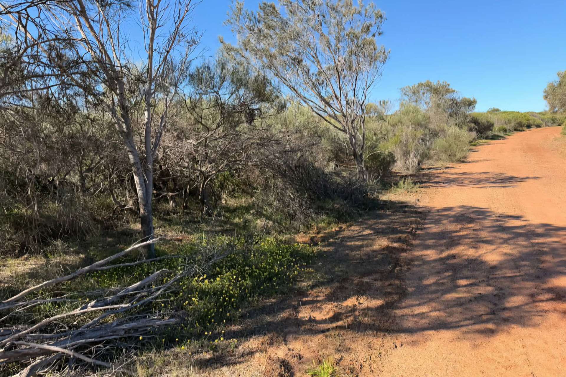 Lot 51 Northampton Port Gregory Road, Yallabatharra For Sale by Farmbuy.com - image 19
