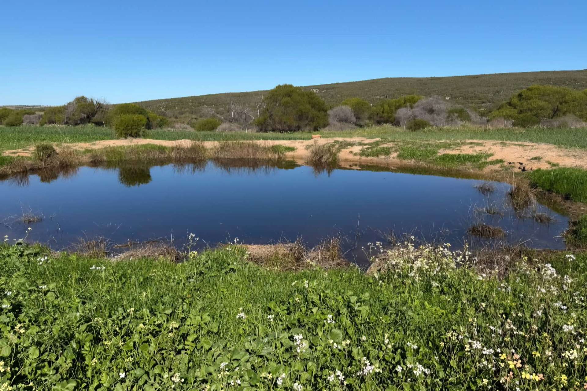 Lot 51 Northampton Port Gregory Road, Yallabatharra For Sale by Farmbuy.com - image 9