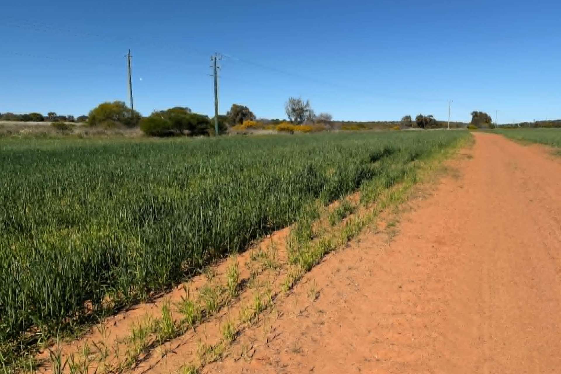 Lot 51 Northampton Port Gregory Road, Yallabatharra For Sale by Farmbuy.com - image 18