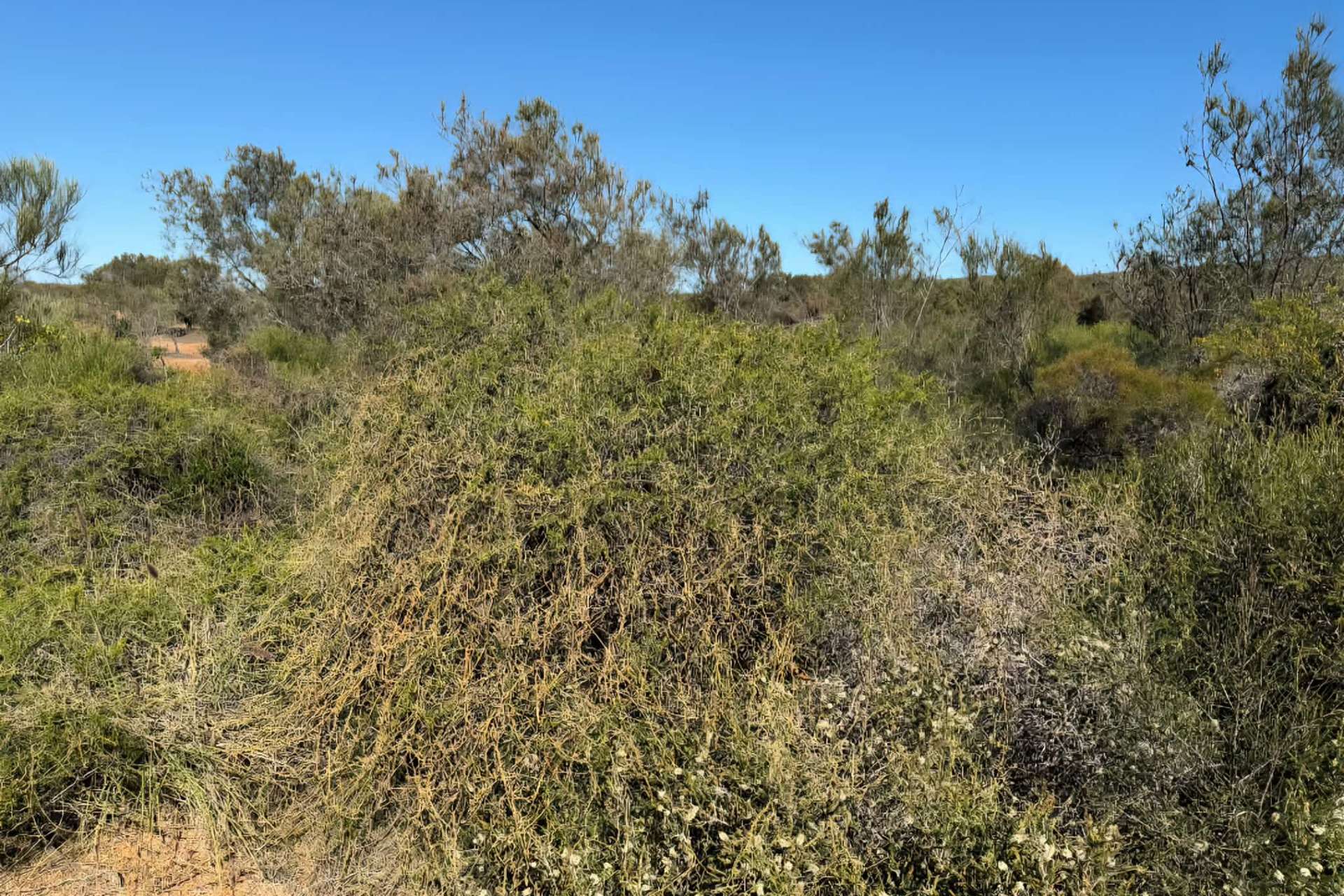 Lot 51 Northampton Port Gregory Road, Yallabatharra For Sale by Farmbuy.com - image 16