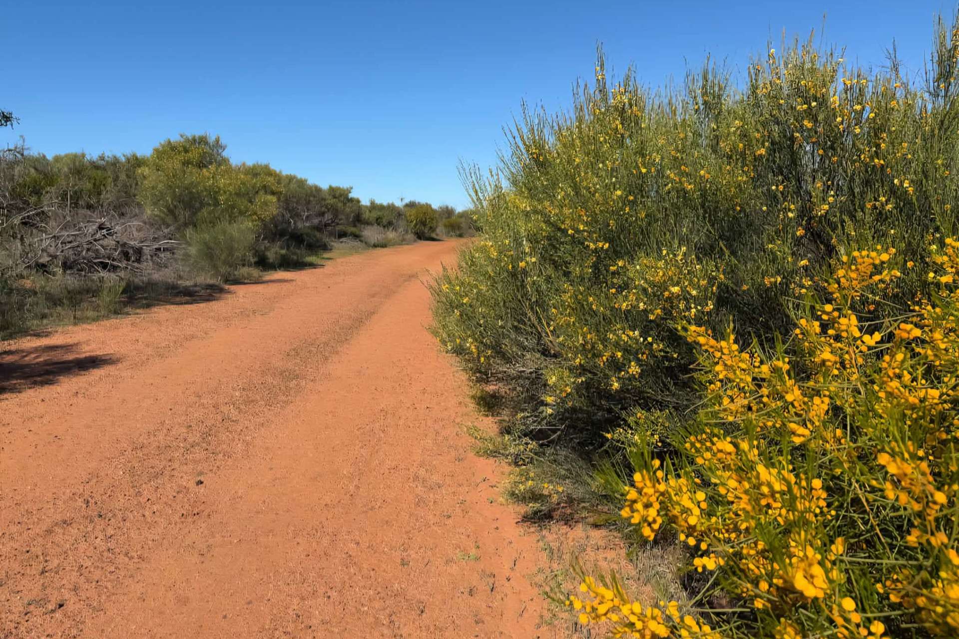 Lot 51 Northampton Port Gregory Road, Yallabatharra For Sale by Farmbuy.com - image 20