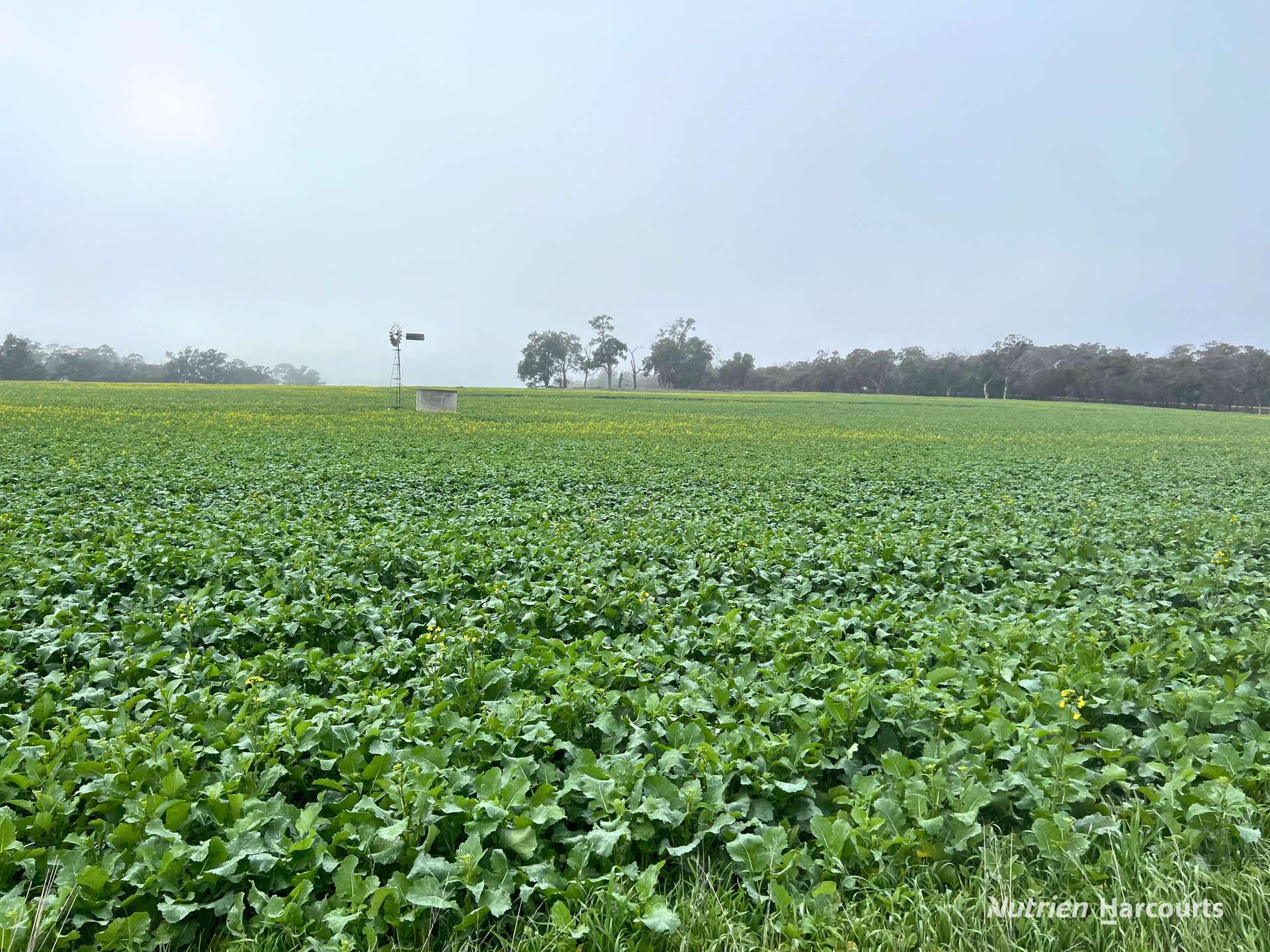 8221 Brookton Highway, Jelcobine For Sale by Farmbuy.com - image 19