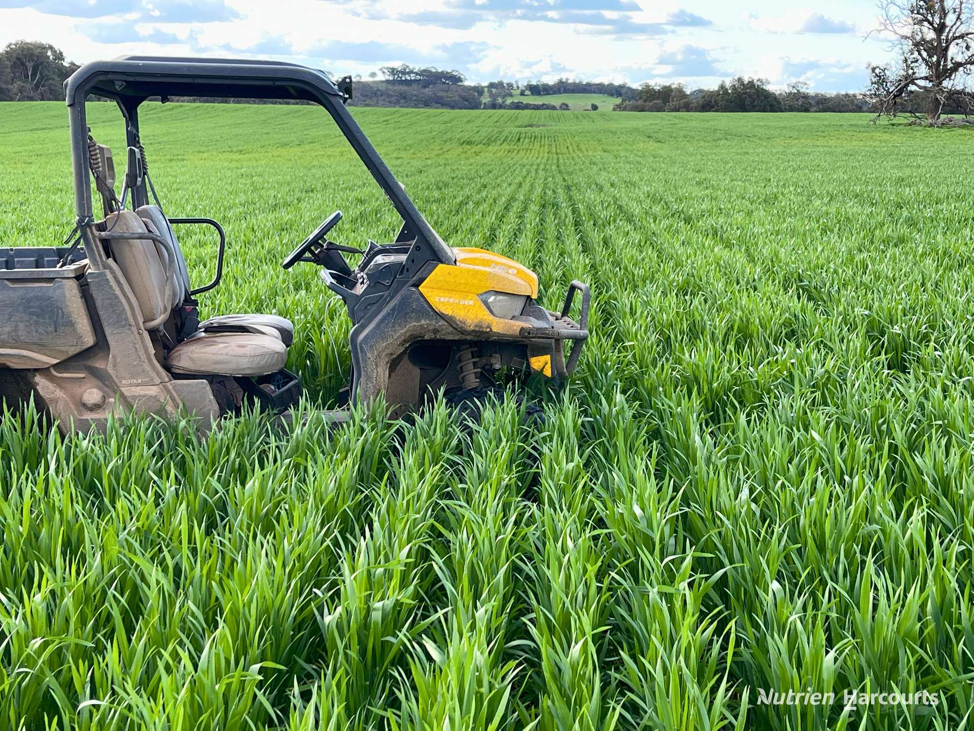8221 Brookton Highway, Jelcobine For Sale by Farmbuy.com - image 25