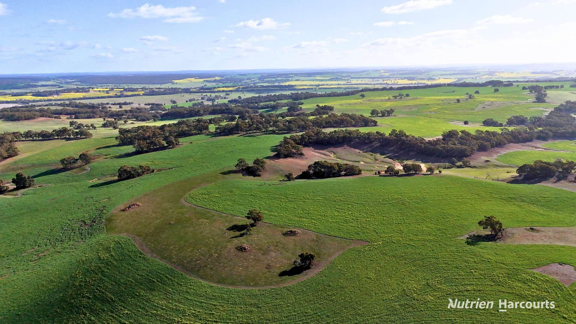 8221 Brookton Highway, Jelcobine For Sale by Farmbuy.com - image 16