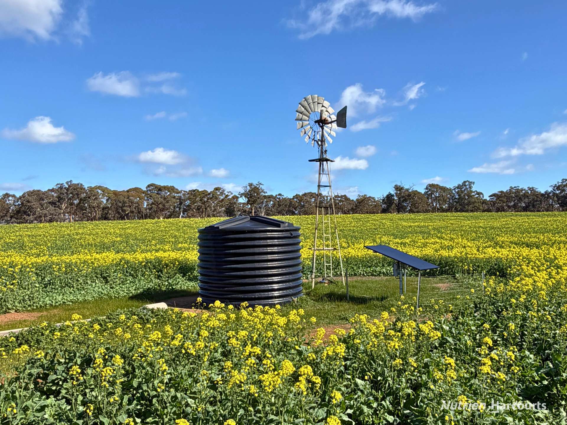 8221 Brookton Highway, Jelcobine For Sale by Farmbuy.com - image 26