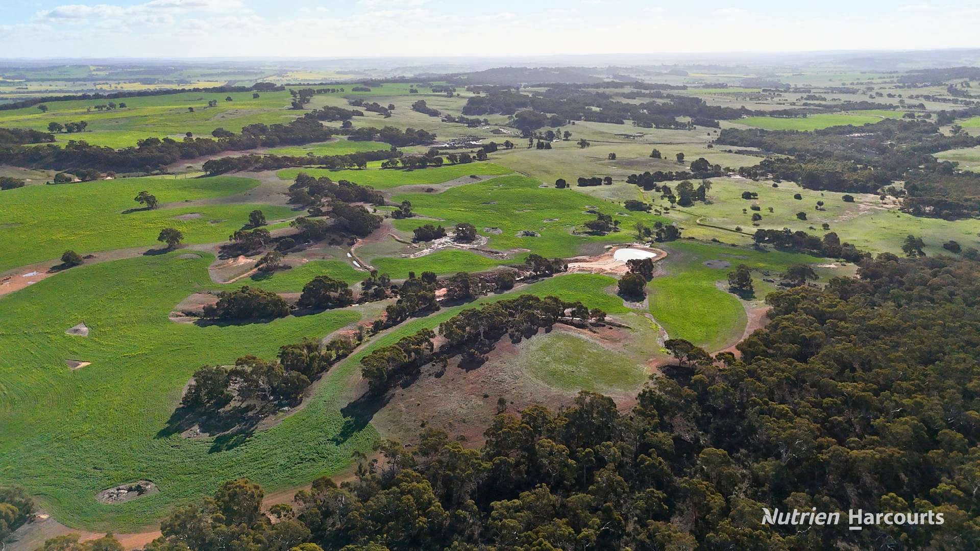 8221 Brookton Highway, Jelcobine For Sale by Farmbuy.com - image 13