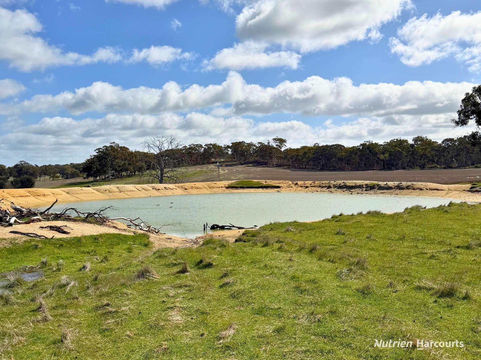 8221 Brookton Highway, Jelcobine For Sale by Farmbuy.com - image 14