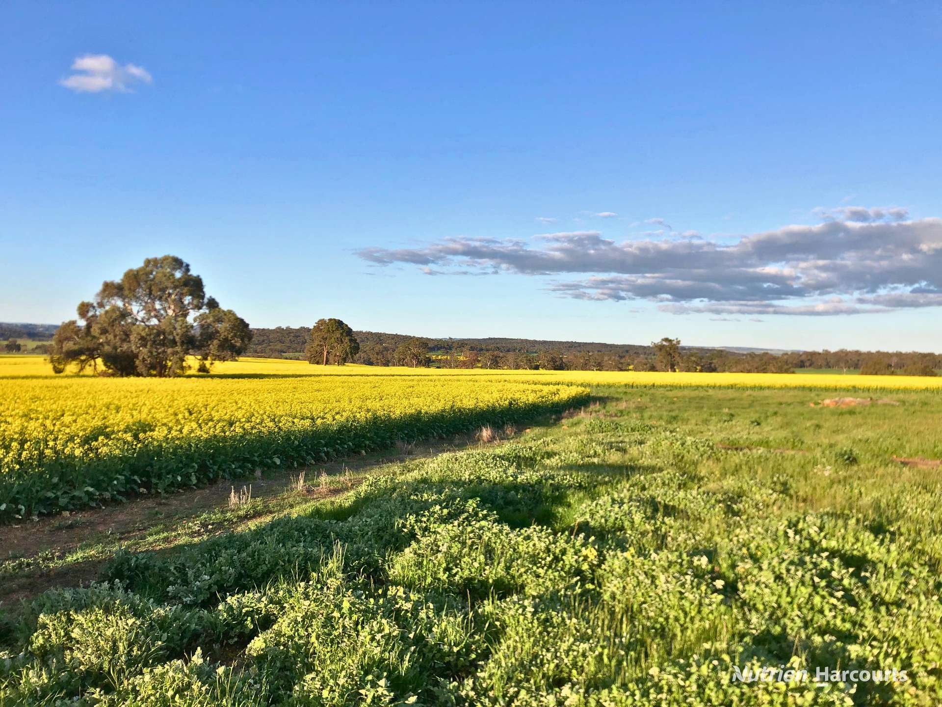8221 Brookton Highway, Jelcobine For Sale by Farmbuy.com - image 8