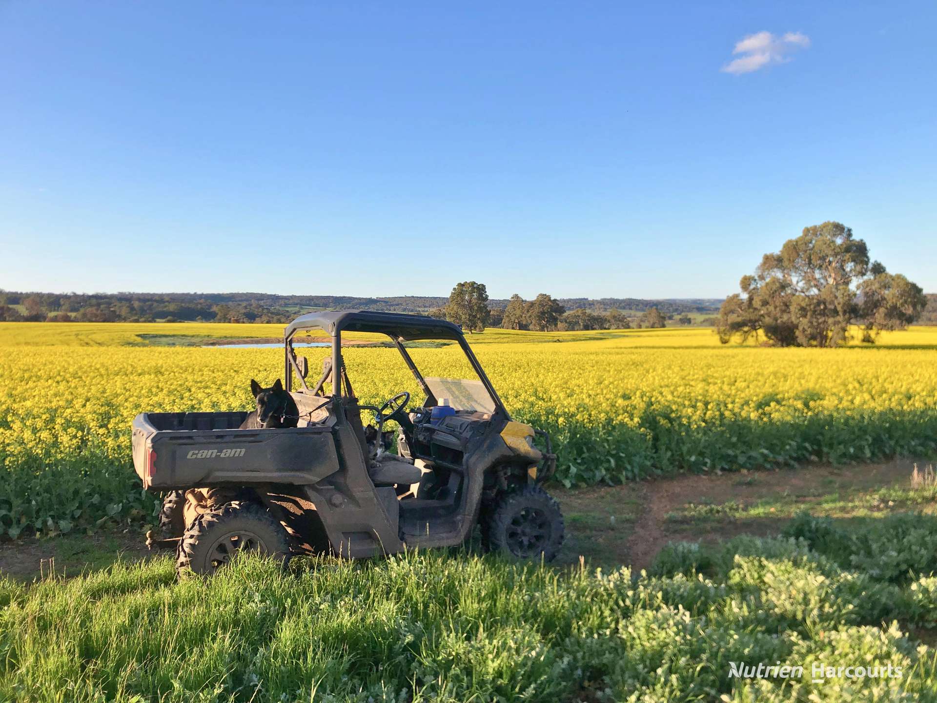 8221 Brookton Highway, Jelcobine For Sale by Farmbuy.com - image 1