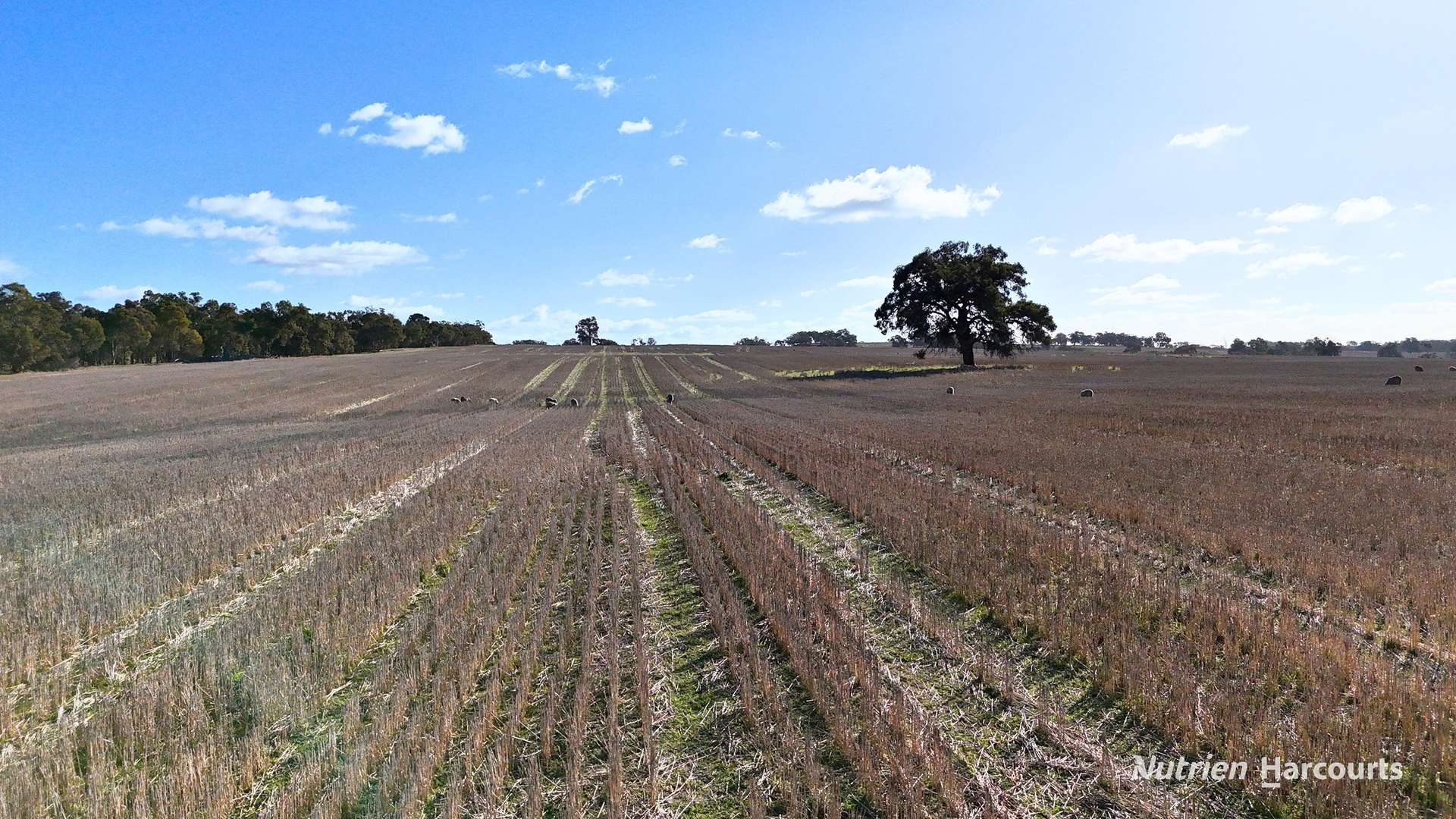 8221 Brookton Highway, Jelcobine For Sale by Farmbuy.com - image 20