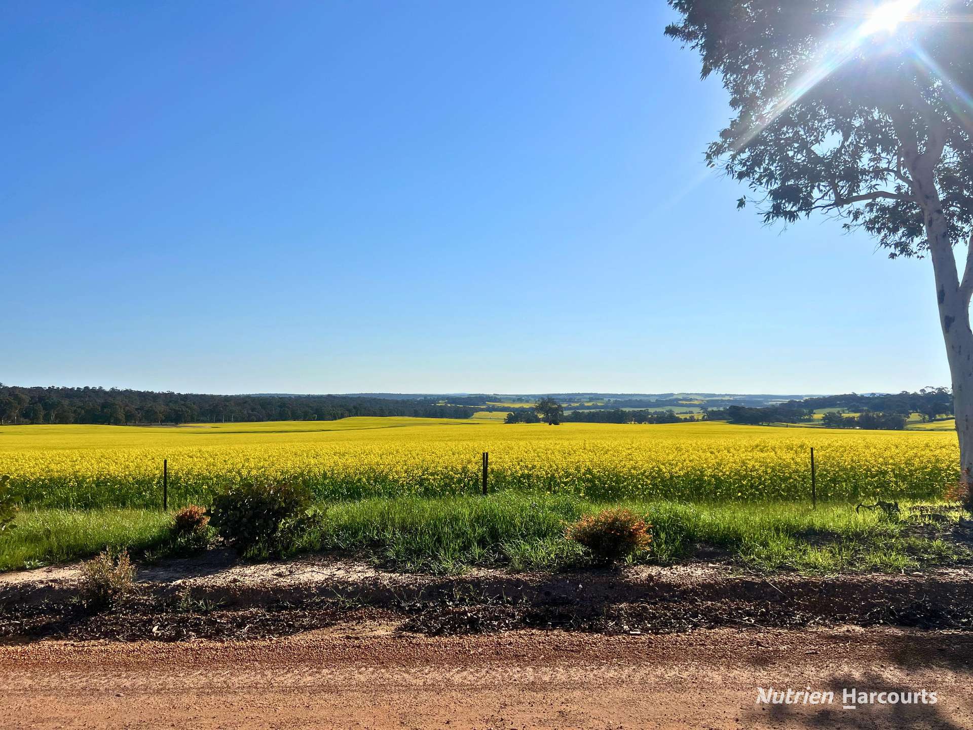 8221 Brookton Highway, Jelcobine For Sale by Farmbuy.com - image 33