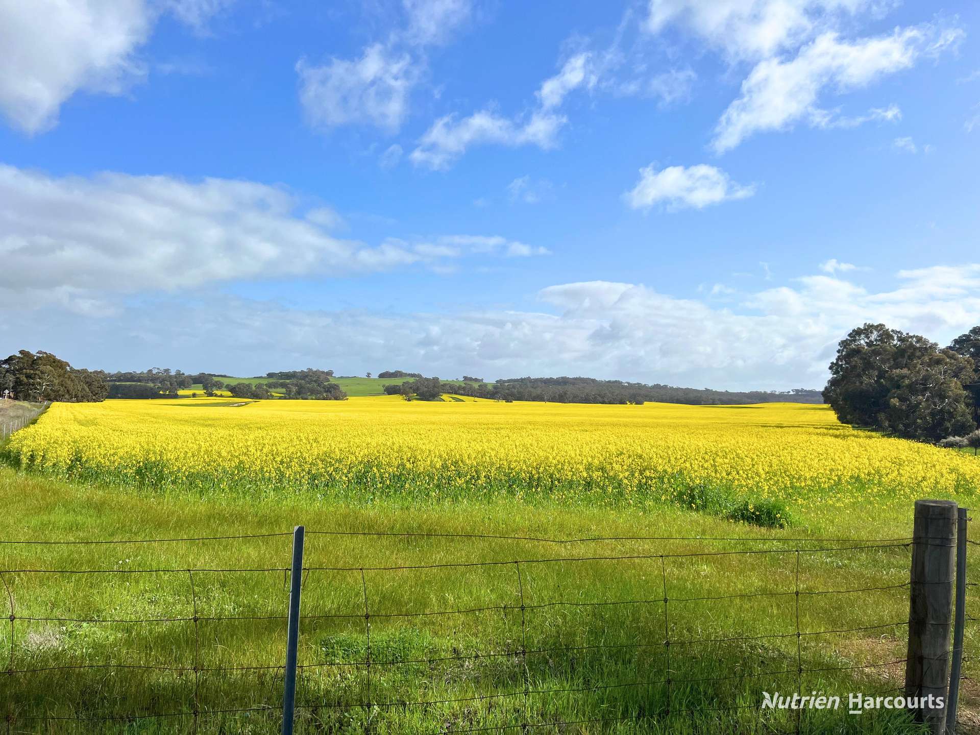 8221 Brookton Highway, Jelcobine For Sale by Farmbuy.com - image 17