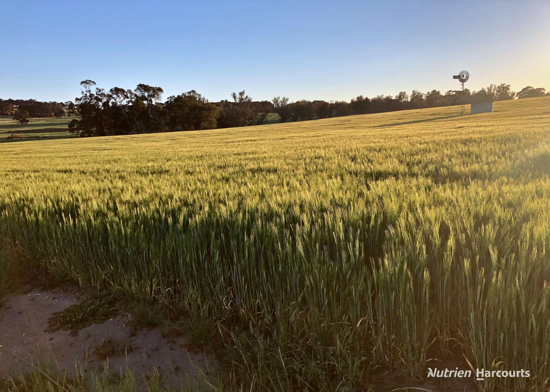 8221 Brookton Highway, Jelcobine For Sale by Farmbuy.com - image 5
