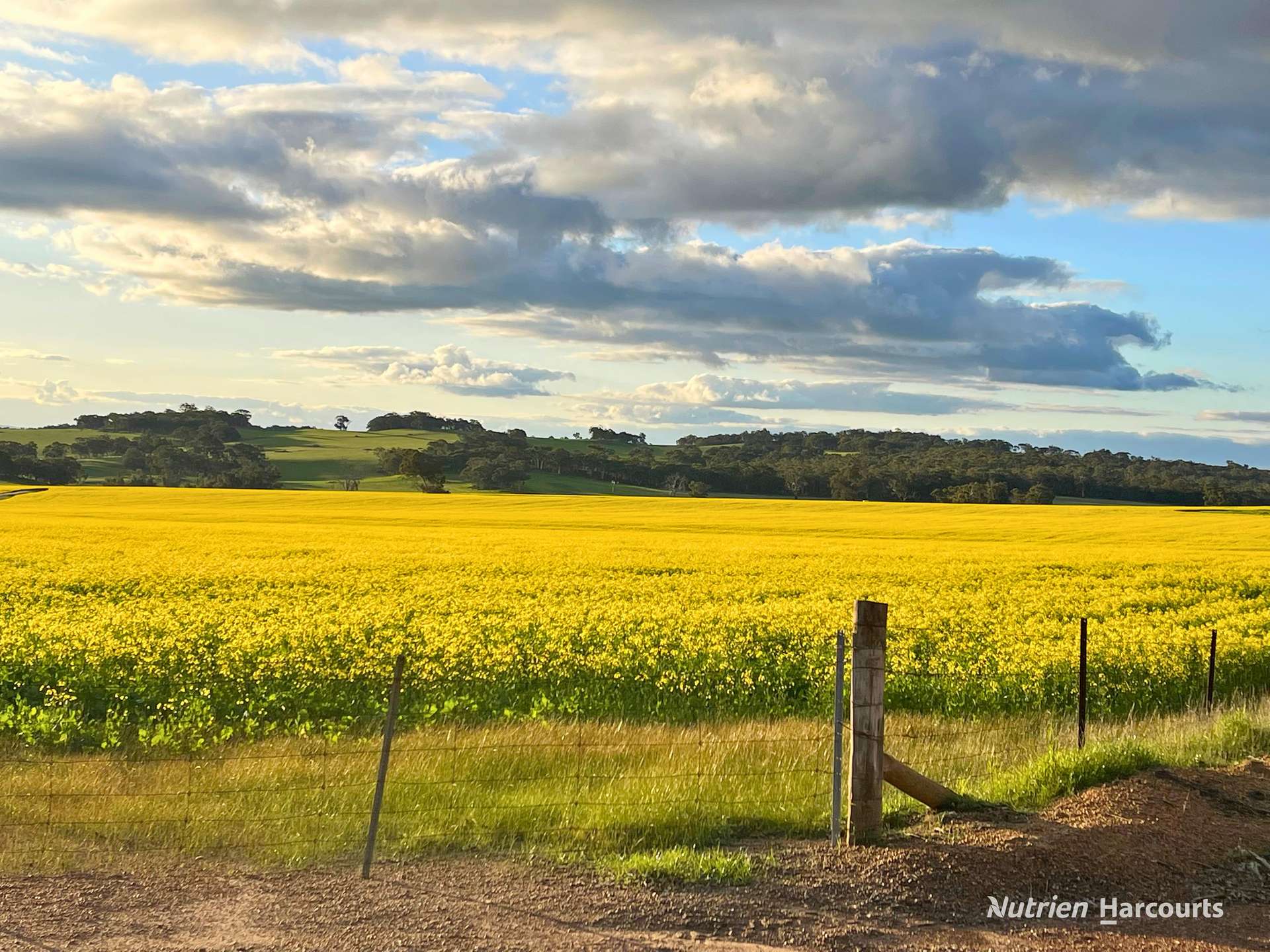 8221 Brookton Highway, Jelcobine For Sale by Farmbuy.com - image 10