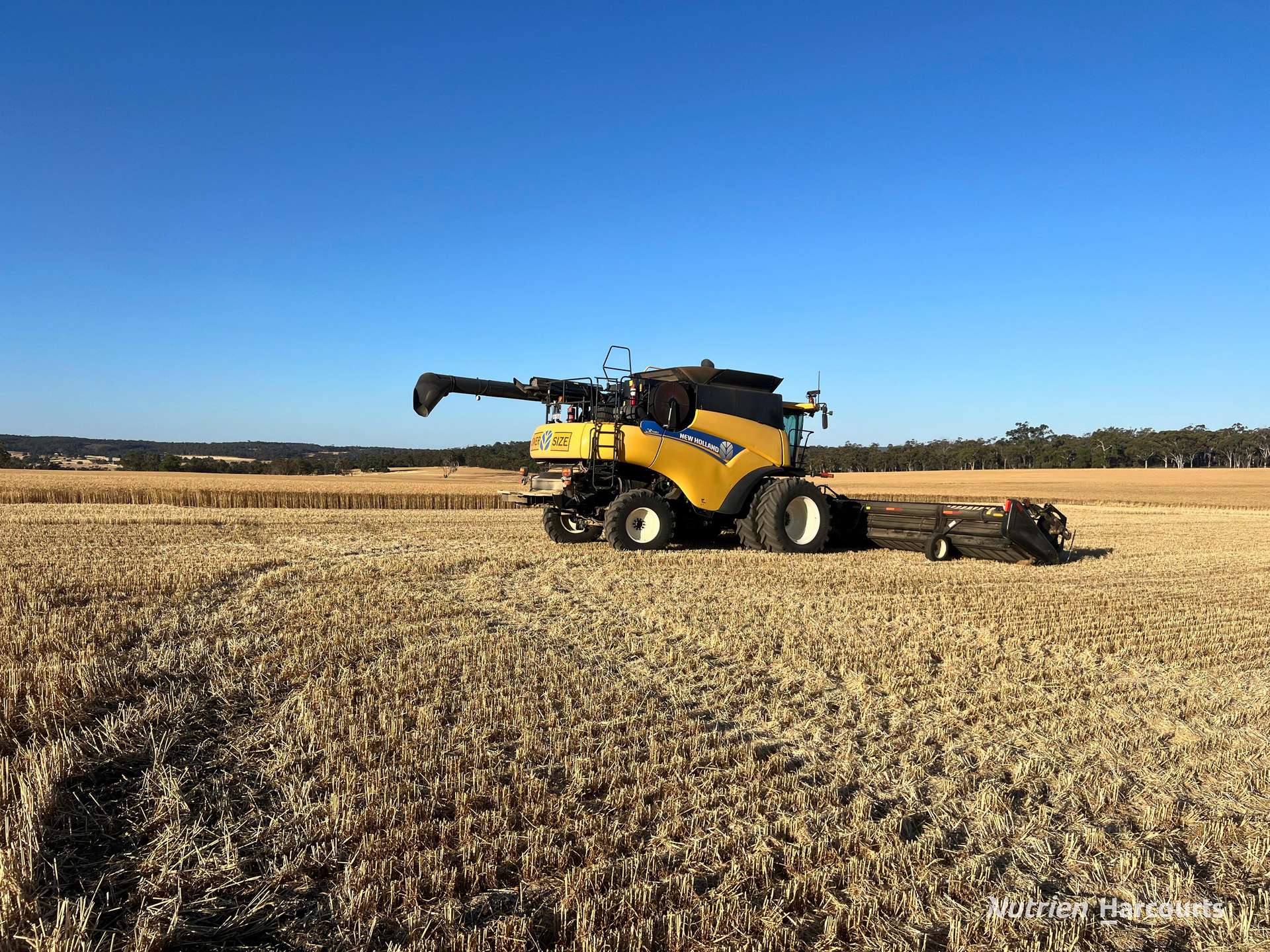 8221 Brookton Highway, Jelcobine For Sale by Farmbuy.com - image 7